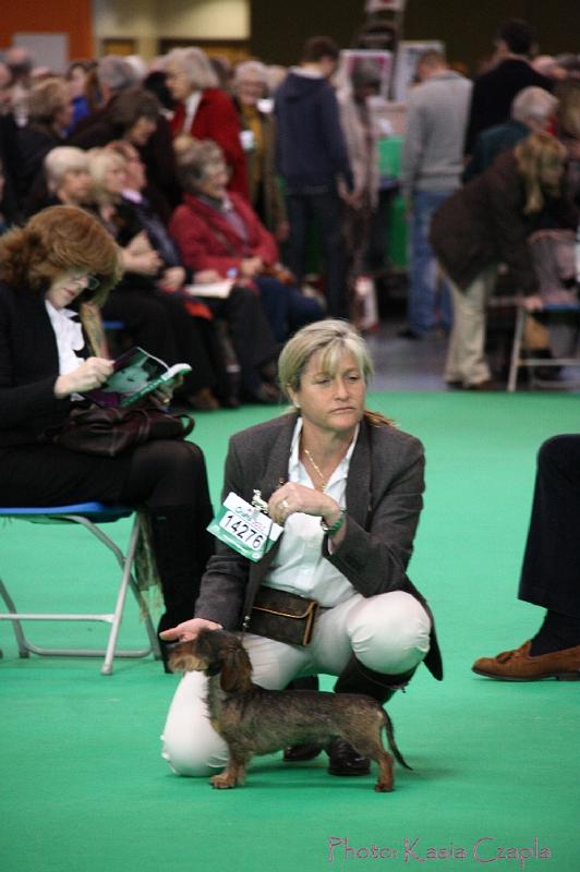 Crufts2011_2 694.jpg